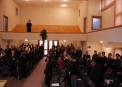 Picture 235